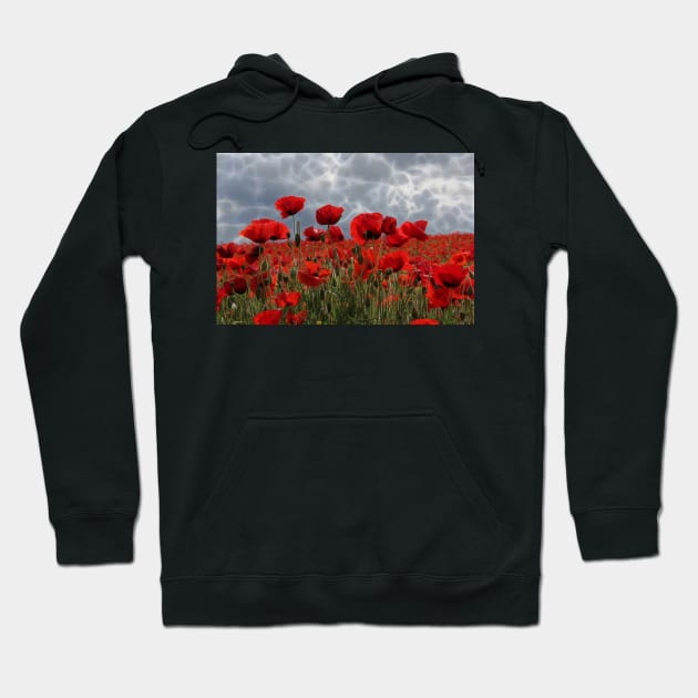 bright red glowing poppy in a field of wild uncultivated flowers Hoodie by mister-john